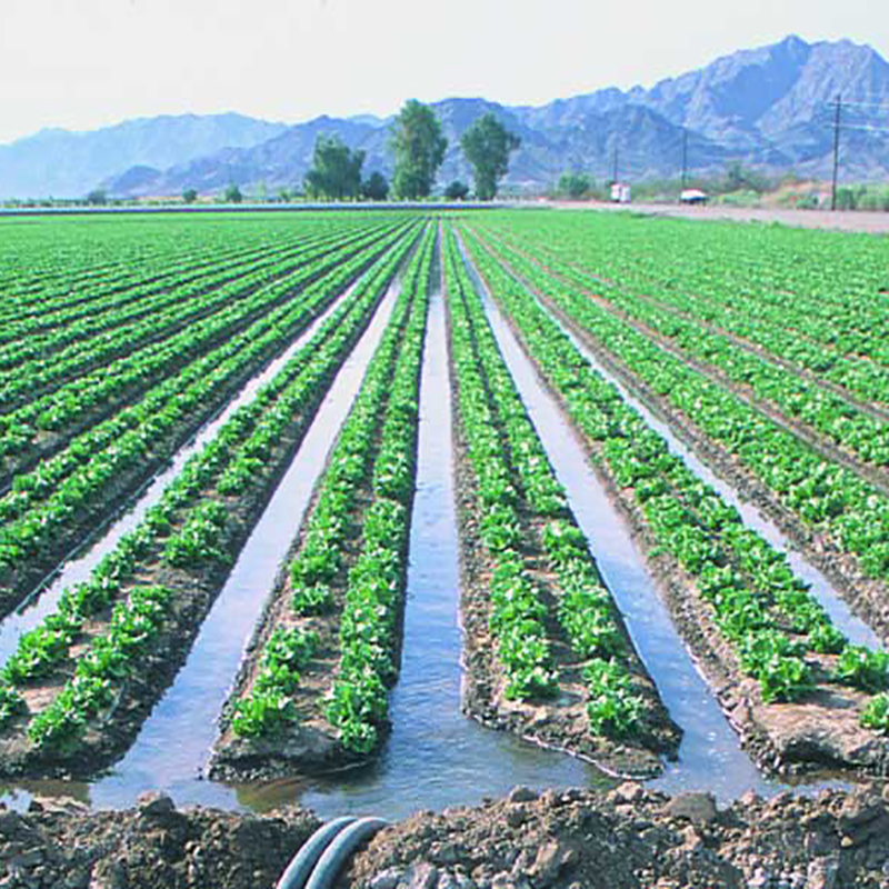Irrigation Projects